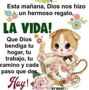 Meet your Posher, Judith